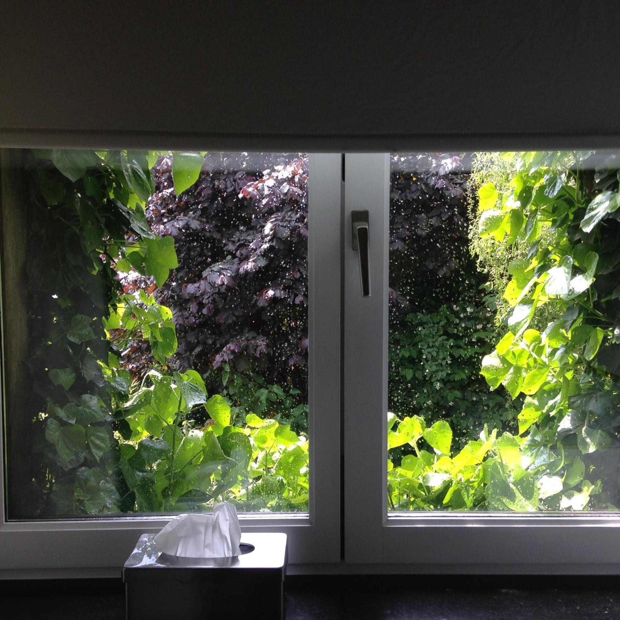 B&B Matin Tranquille Liège Exteriör bild